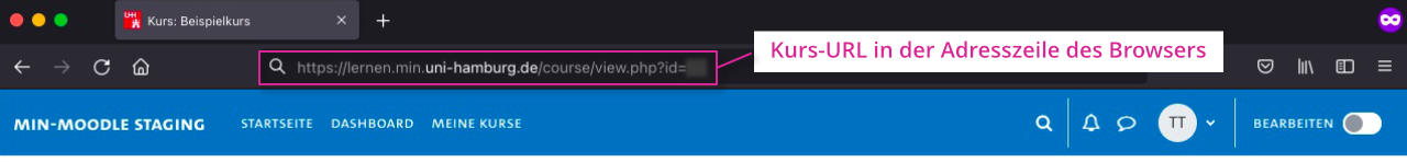URL des MIN Moodle Kurses in der Adresszeile