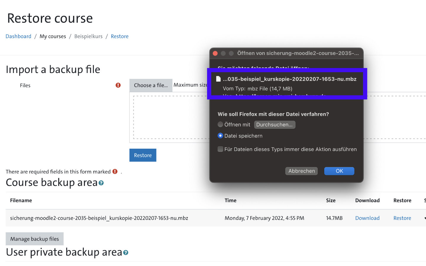 Screenshot: Download backup file