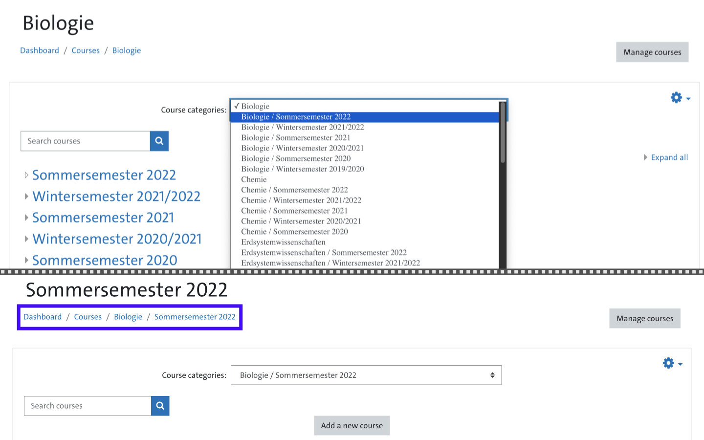 Screenshot: Course categories and semester selection