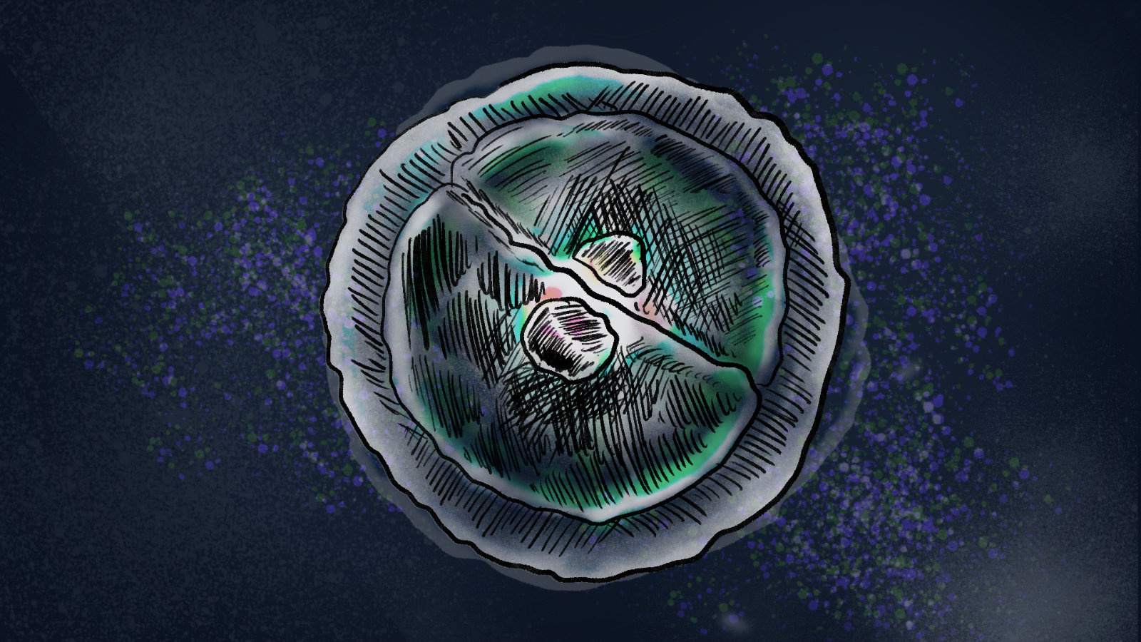 coverimage visualization cell division