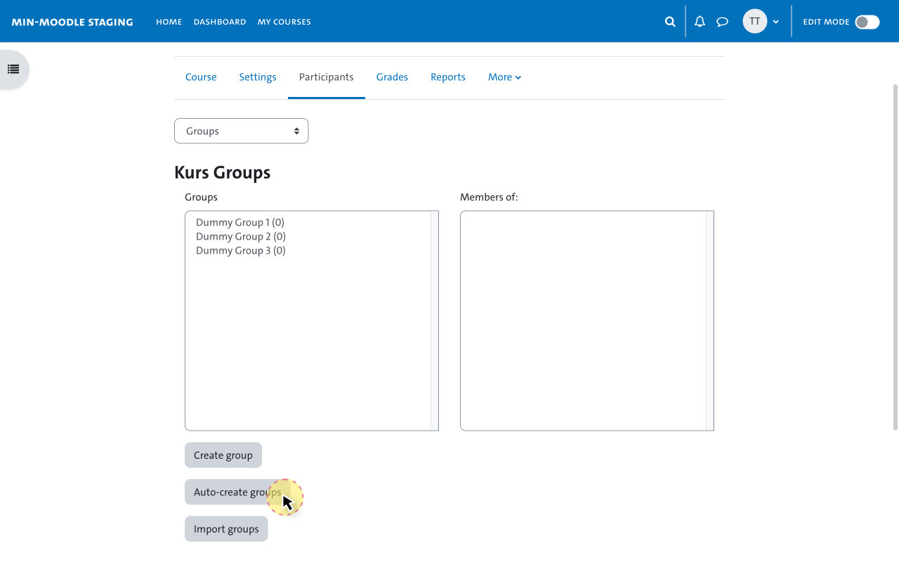 Automatic assignment - Auto-create groups